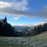 De L'api De La Broque Fréland