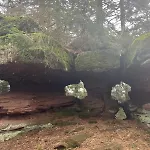 De L'api De La Broque Fréland