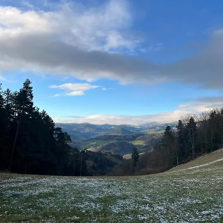 De L'api De La Broque Fréland