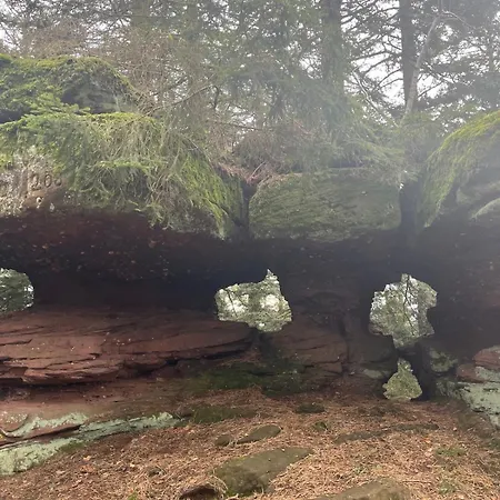 De L'api De La Broque Fréland