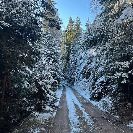 De L'api De La Broque Apartman Fréland