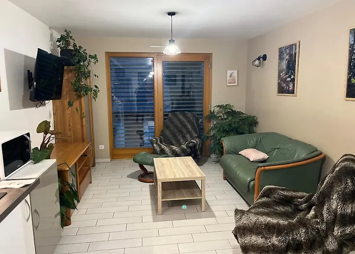 Lejlighed De L'api De La Broque Fréland