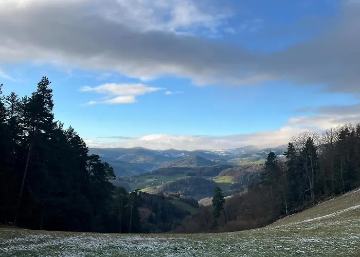 De L'api De La Broque Fréland