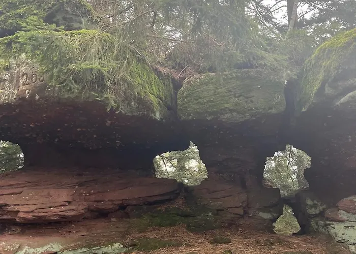 De L'api De La Broque Fréland